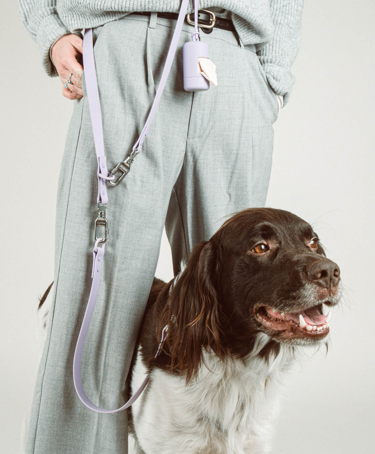 Halsband, Hundeleine - Walk Set