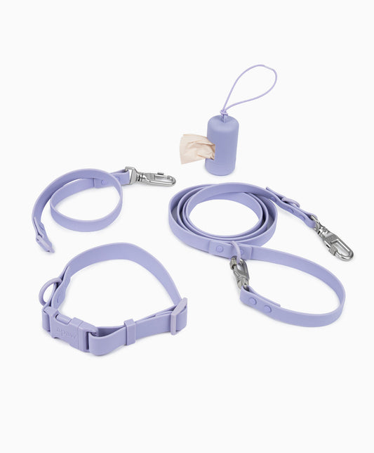 Halsband, Hundeleine - Walk Set
