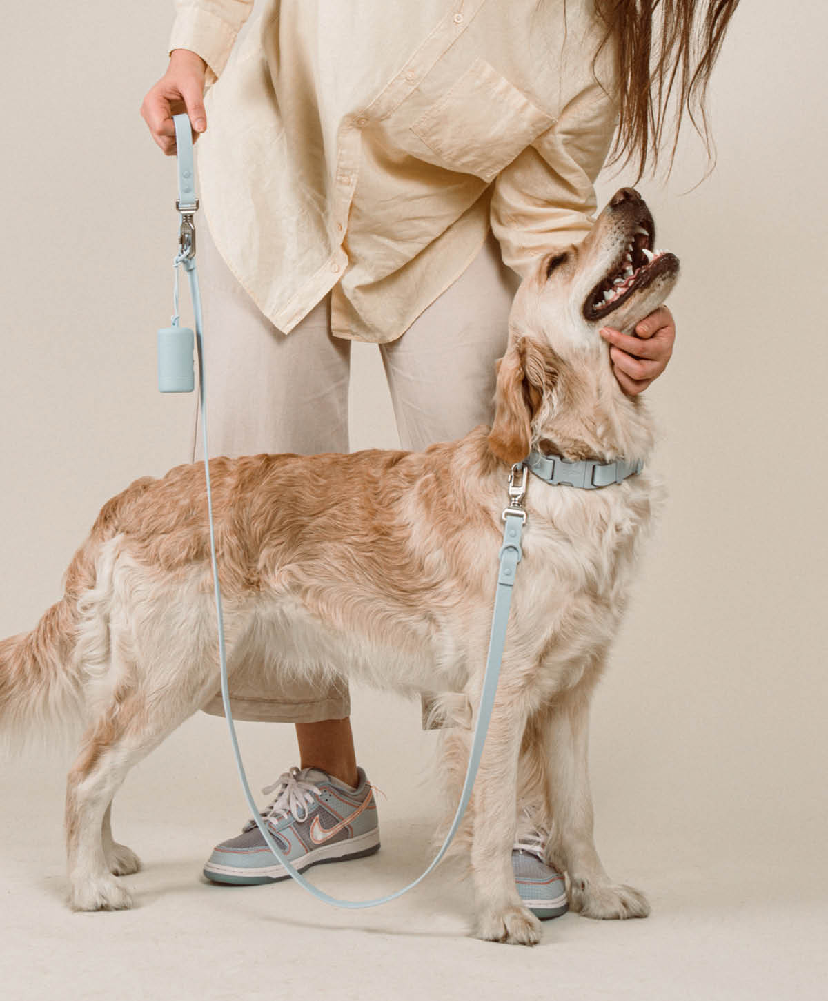Halsband, Hundeleine - Walk Set