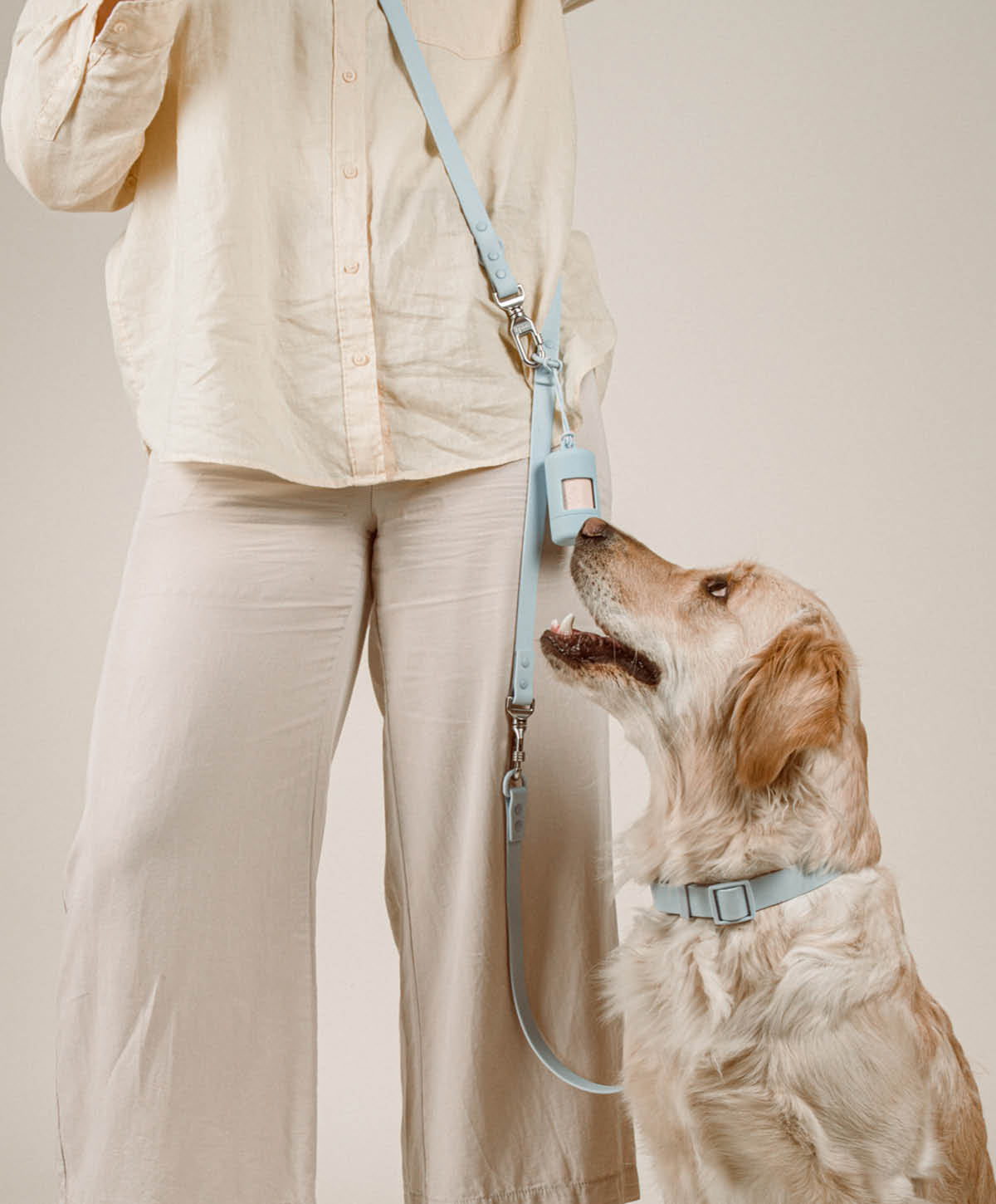 Halsband, Hundeleine - Walk Set