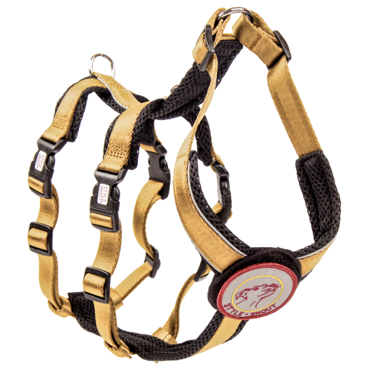 Sicherheitsgeschirr – Patch&Safe – Gold