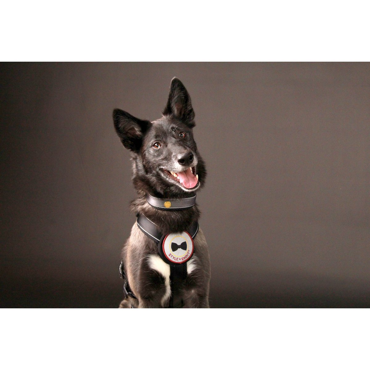 Sicherheitsgeschirr – Patch&Safe – Silber