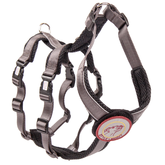 Sicherheitsgeschirr – Patch&Safe – Silber