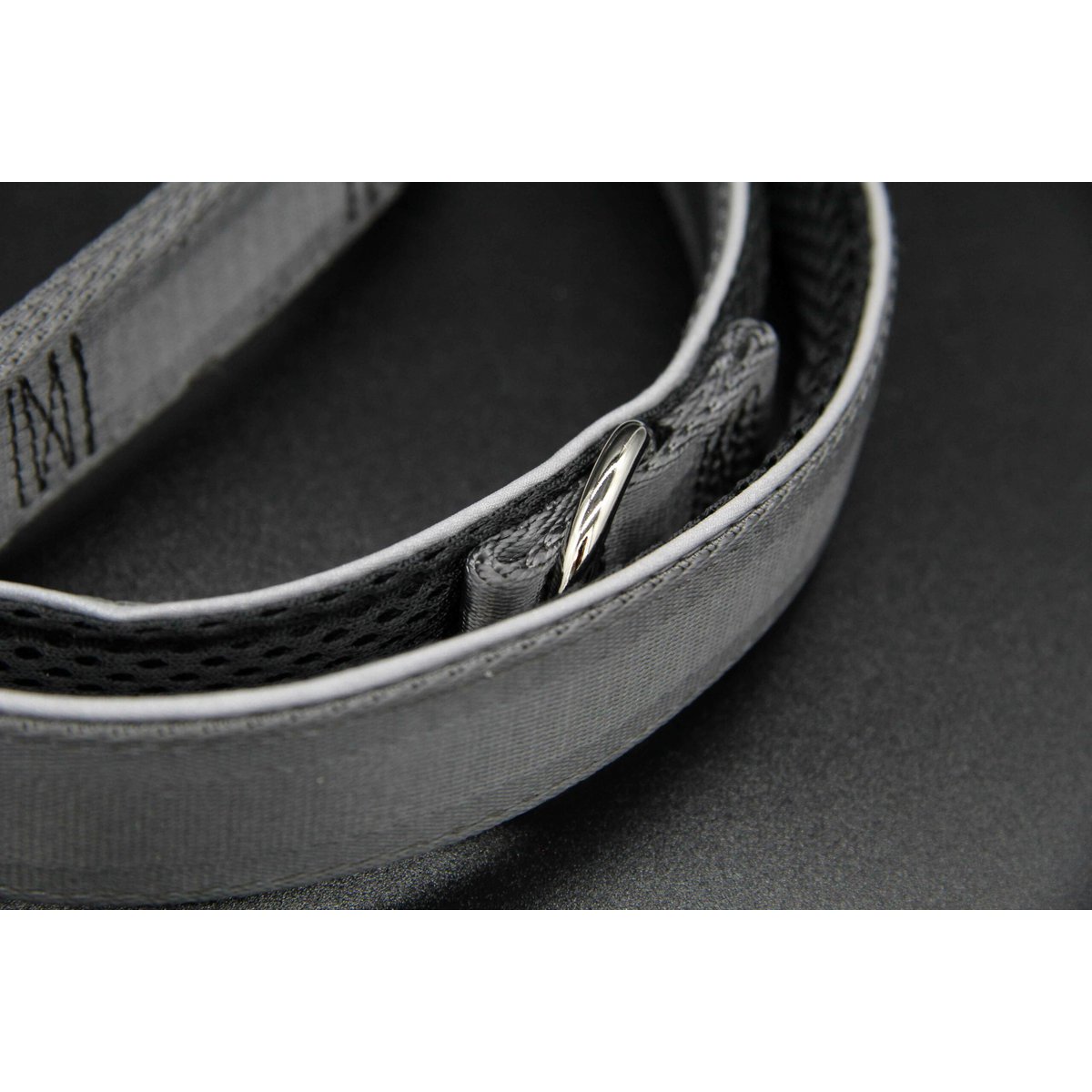 Hundeleine Silber Grau, M und L