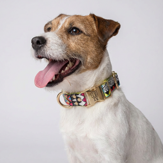 Hundehalsband Ethnic-Vibrance