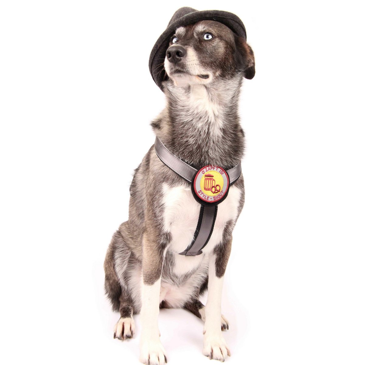 Brustgeschirr – Patch&Style – Silber