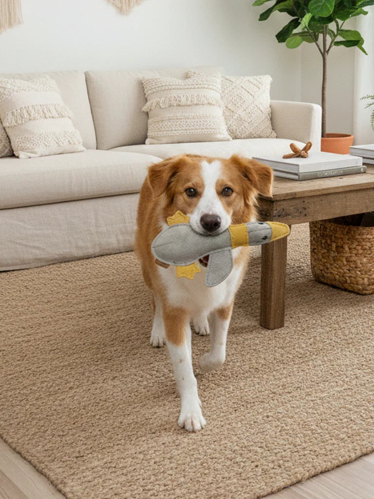 Hundespielzeug aus Leder "Große Ente" - BUDDY