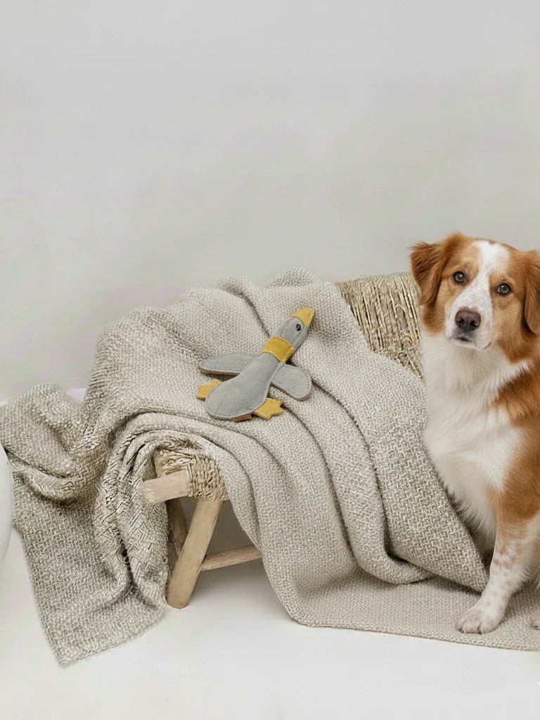 Hundespielzeug aus Leder "Große Ente" - BUDDY