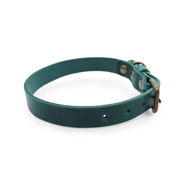 Klassisches, zeitloses Halsband aus Leder Grün