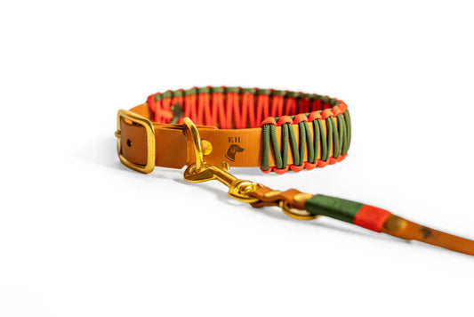Biothane Paracord Halsband Crimson Pine