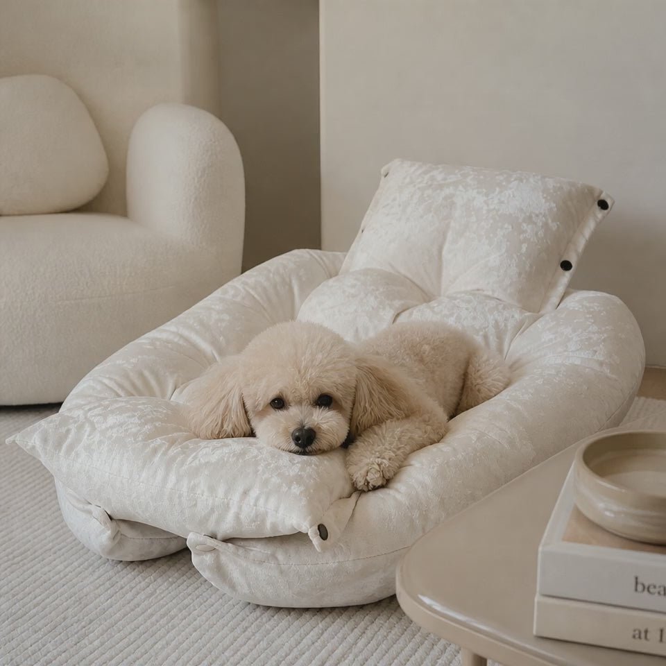 MALIBU 2-in-1 umwandelbares Hundebett zu einer Matratze