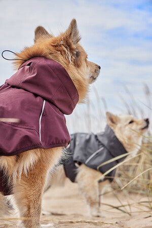 Hurtta Regenmantel Mudventure Coat in eggplant | blackberry | cinnamon | forest
