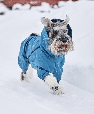 Hurtta Hunde-Overall Extreme Overall II in arctic sea | forest | desert