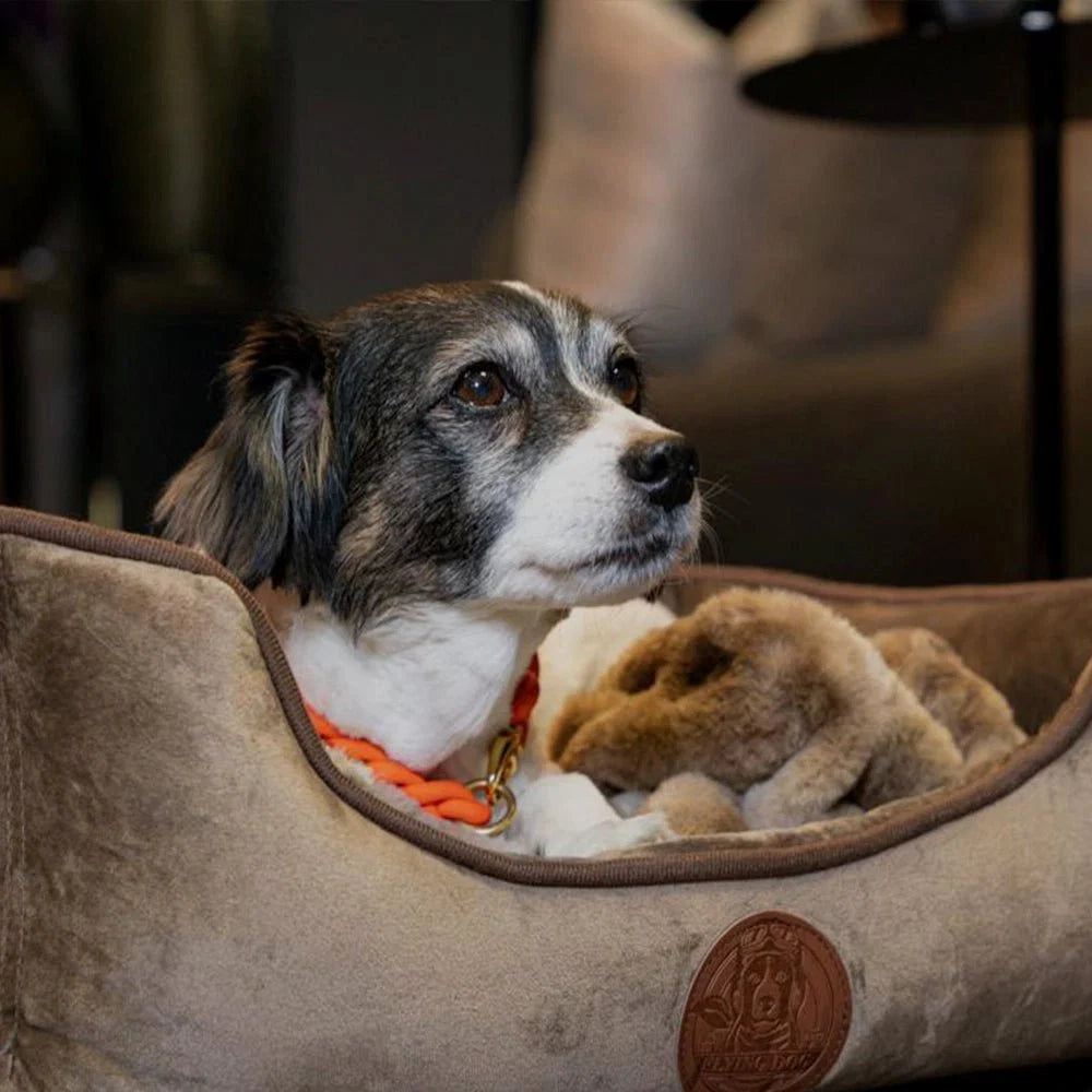 Hundebett, orthopädisches Hundebett mit kuscheliger Decke - Henri