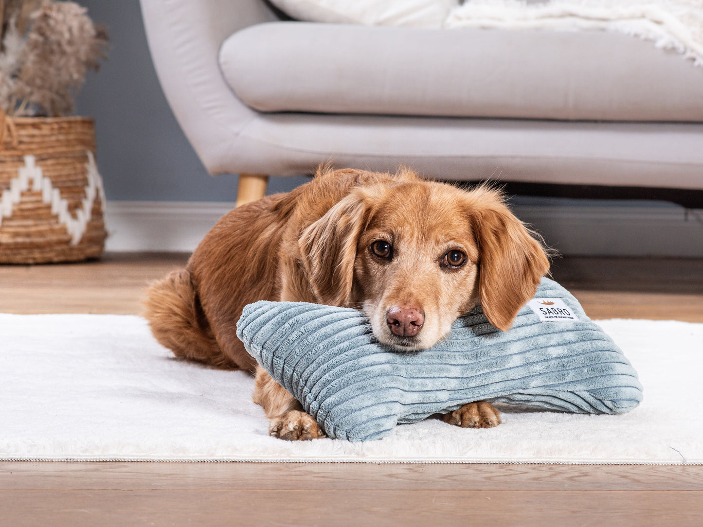 Kissen, Hundespielzeug KUSCHELKNOCHEN Cord