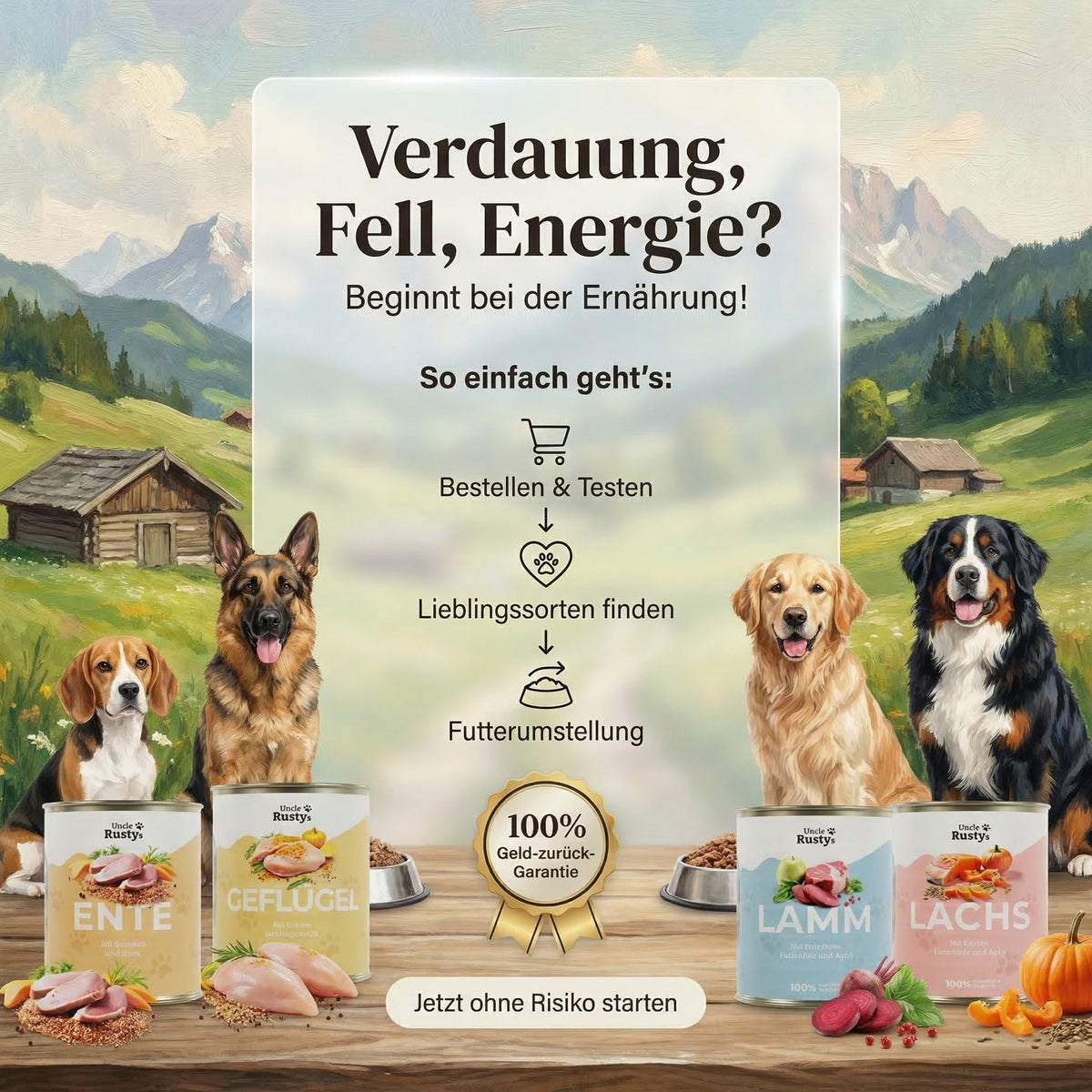 Rind mit Kartoffeln und Karotten - Hundefutter