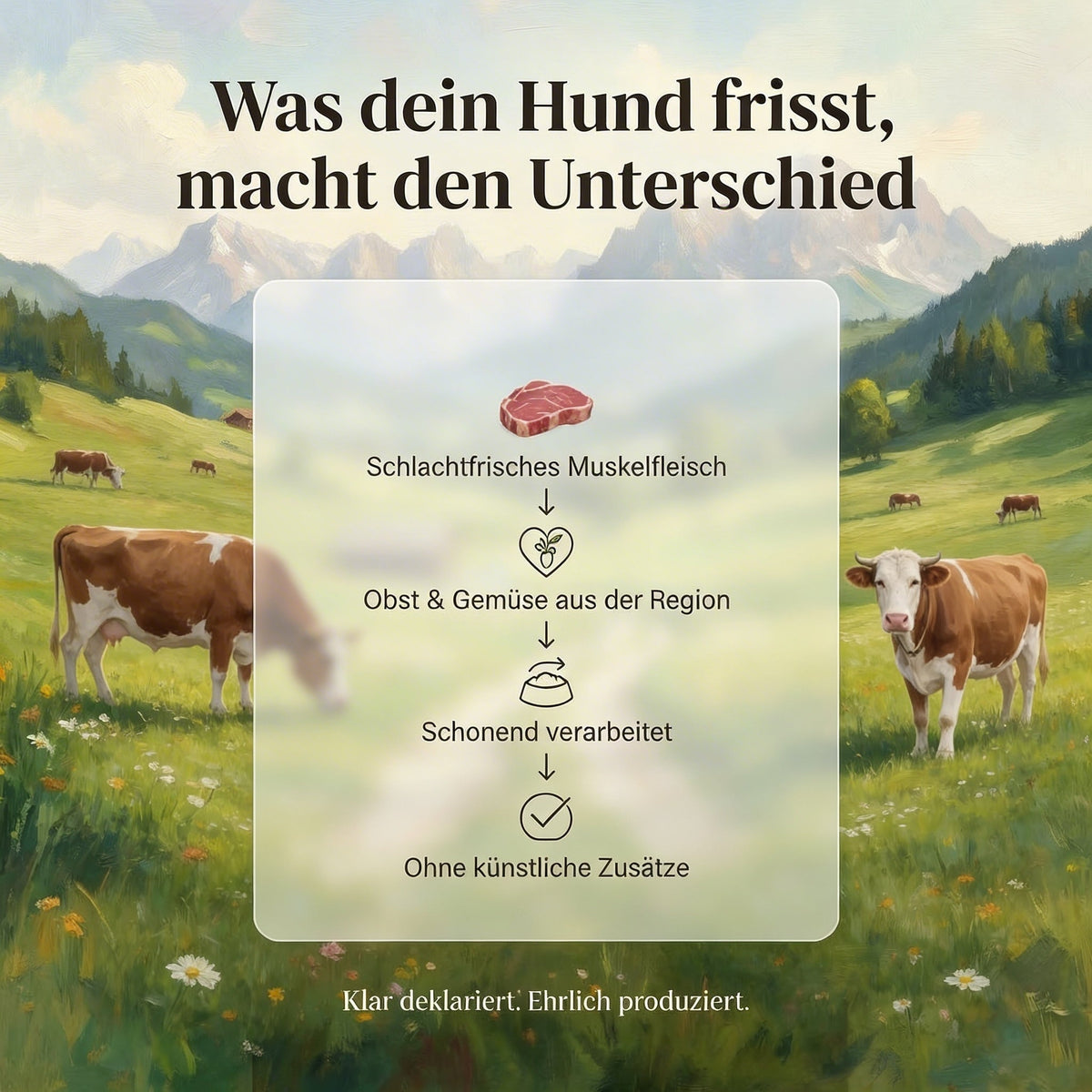 Rind mit Kartoffeln und Karotten - Hundefutter
