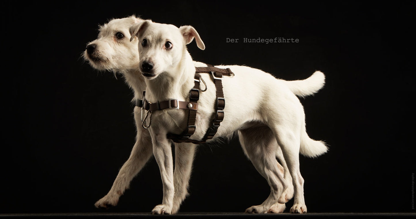 Anti-Stress-Geschirr STURMFREI®, Größe XS