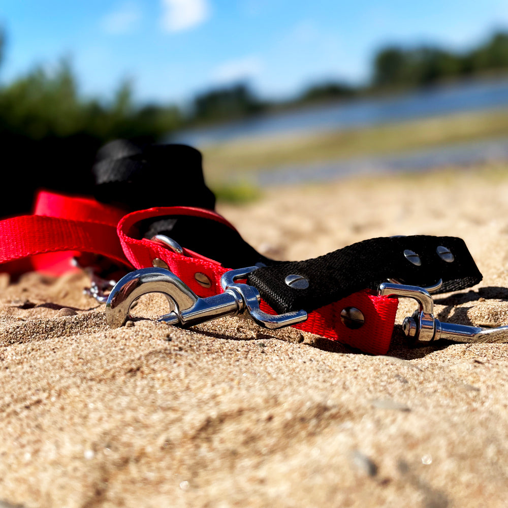 Hundeleine RATZFATZ aus BioThane®/POP - Band