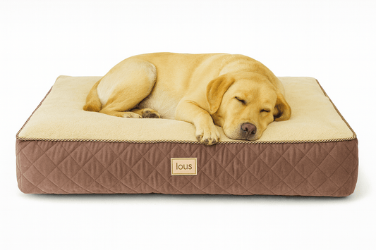 Lou's Premium Orthopädisches Hundekissen mit abnehmbarem waschbarem Bezug