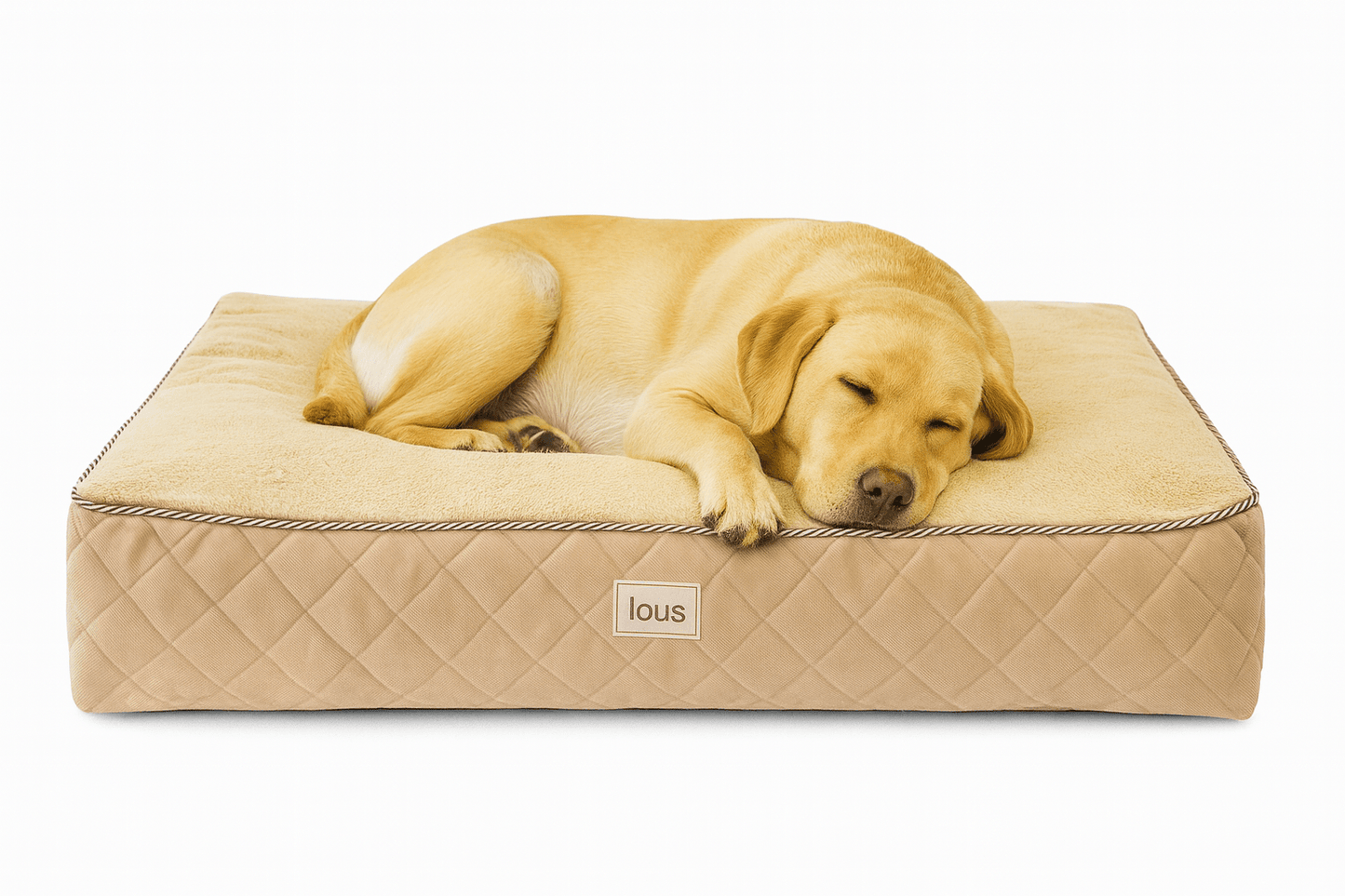 Lou's Premium Orthopädisches Hundekissen mit abnehmbarem waschbarem Bezug