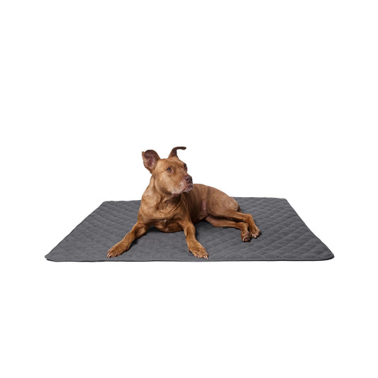 Große und stilvolle Hundedecke