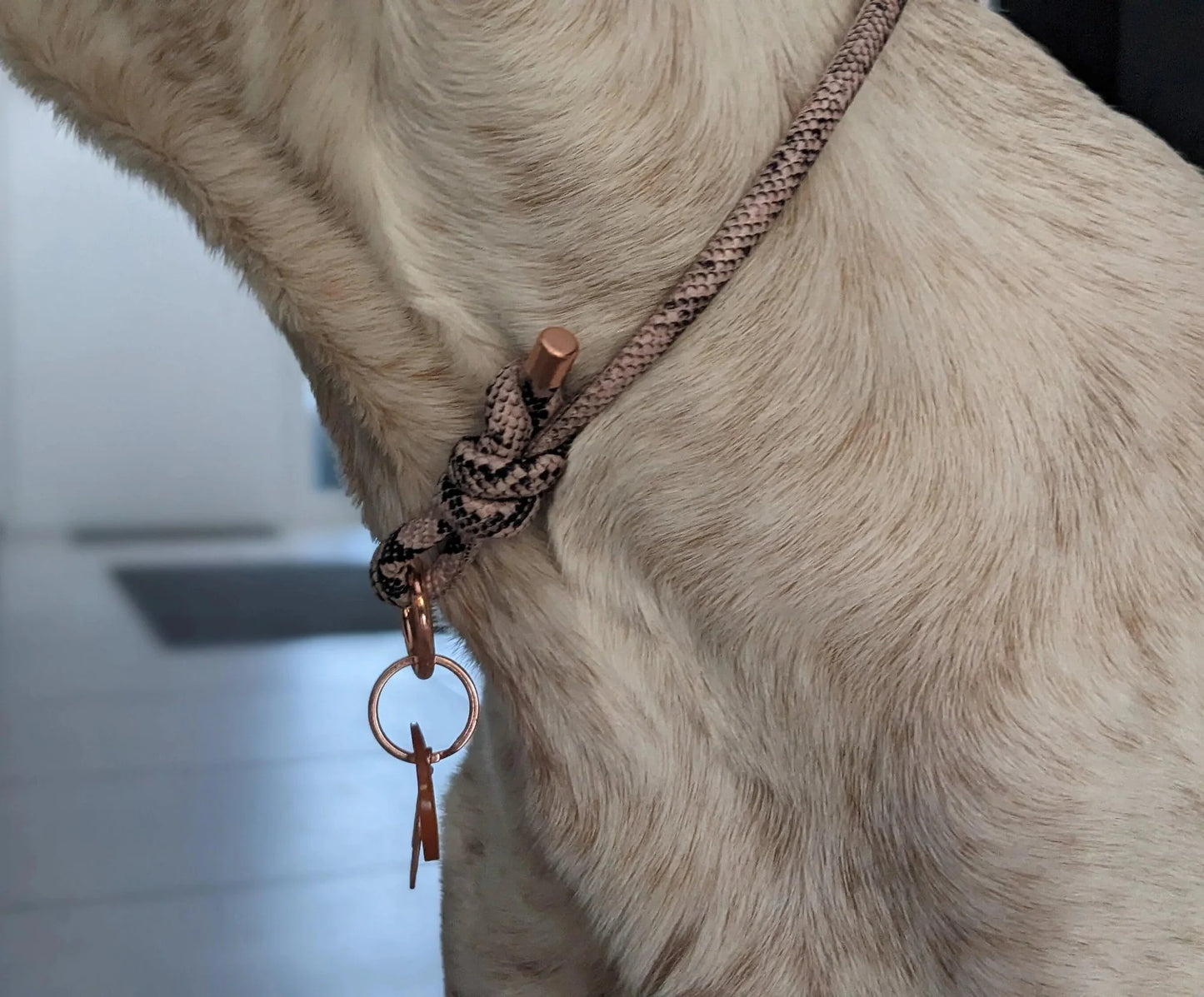 Markenhalsband aus Kunstleder verstellbar in Schlangenoptik