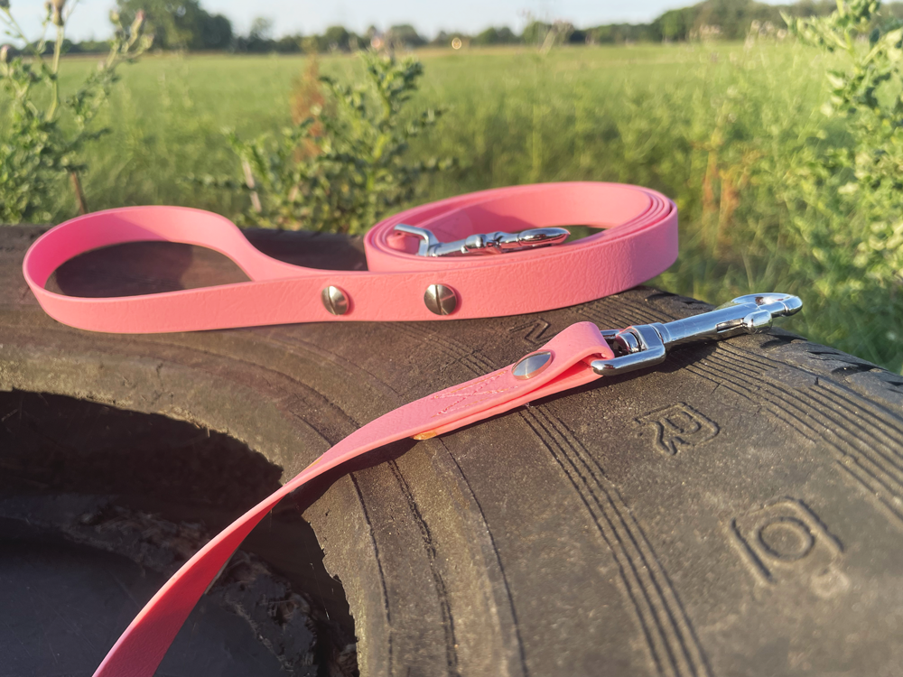 Hundeleine UM'S ECK (1,50 m) aus BioThane®/POP - Band