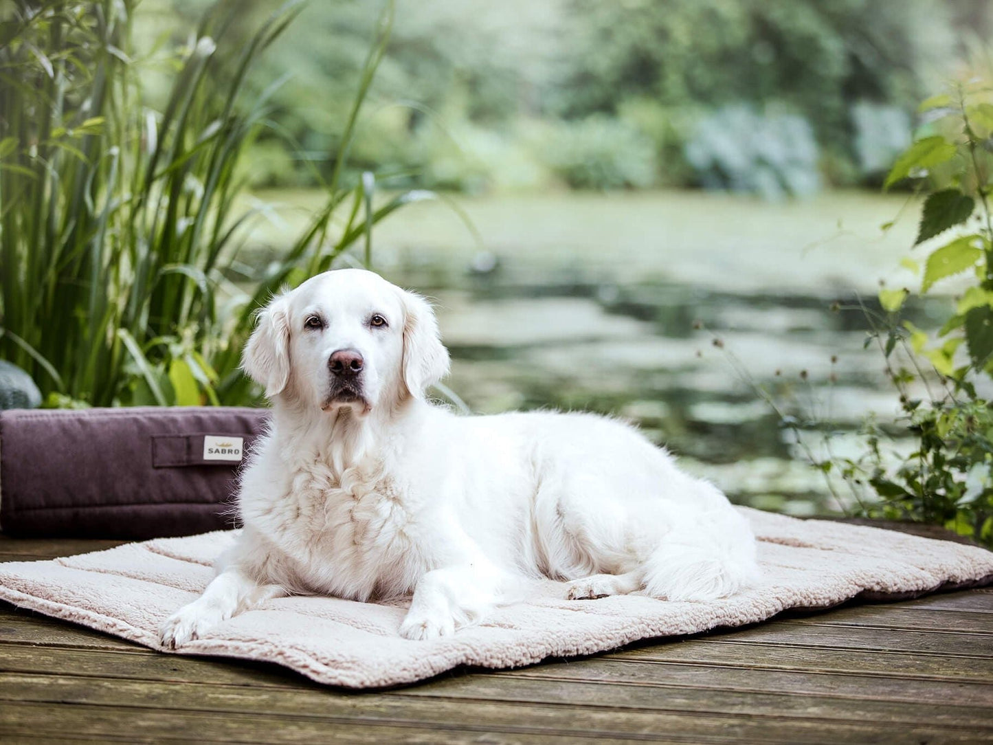 Hundematte, Reisematte RESOR