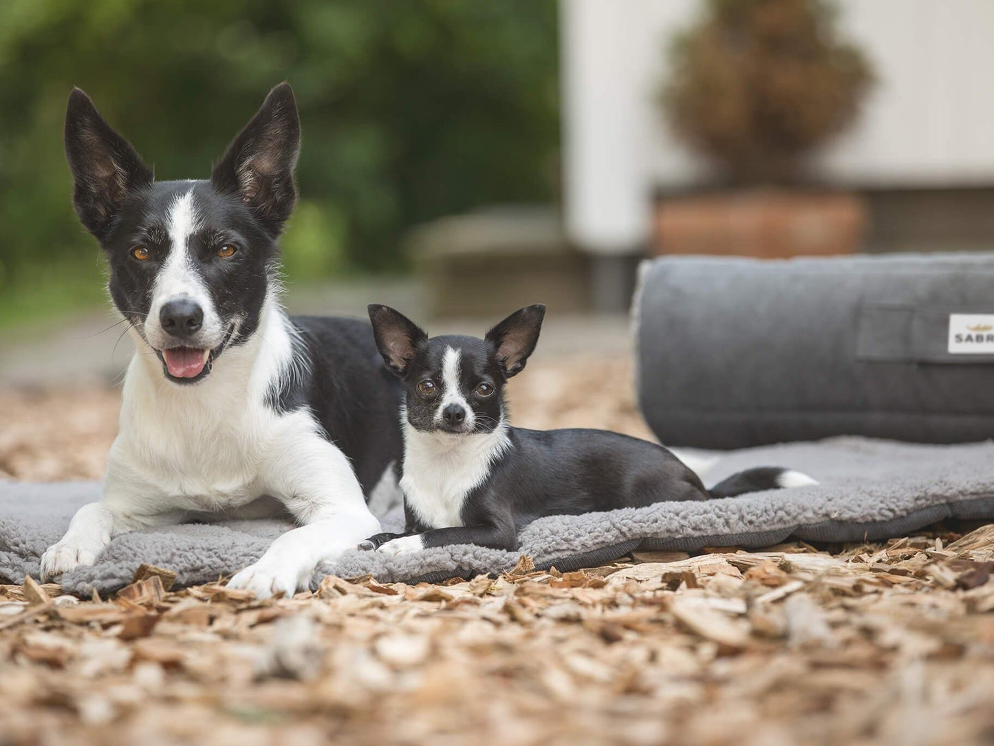 Hundematte, Reisematte RESOR