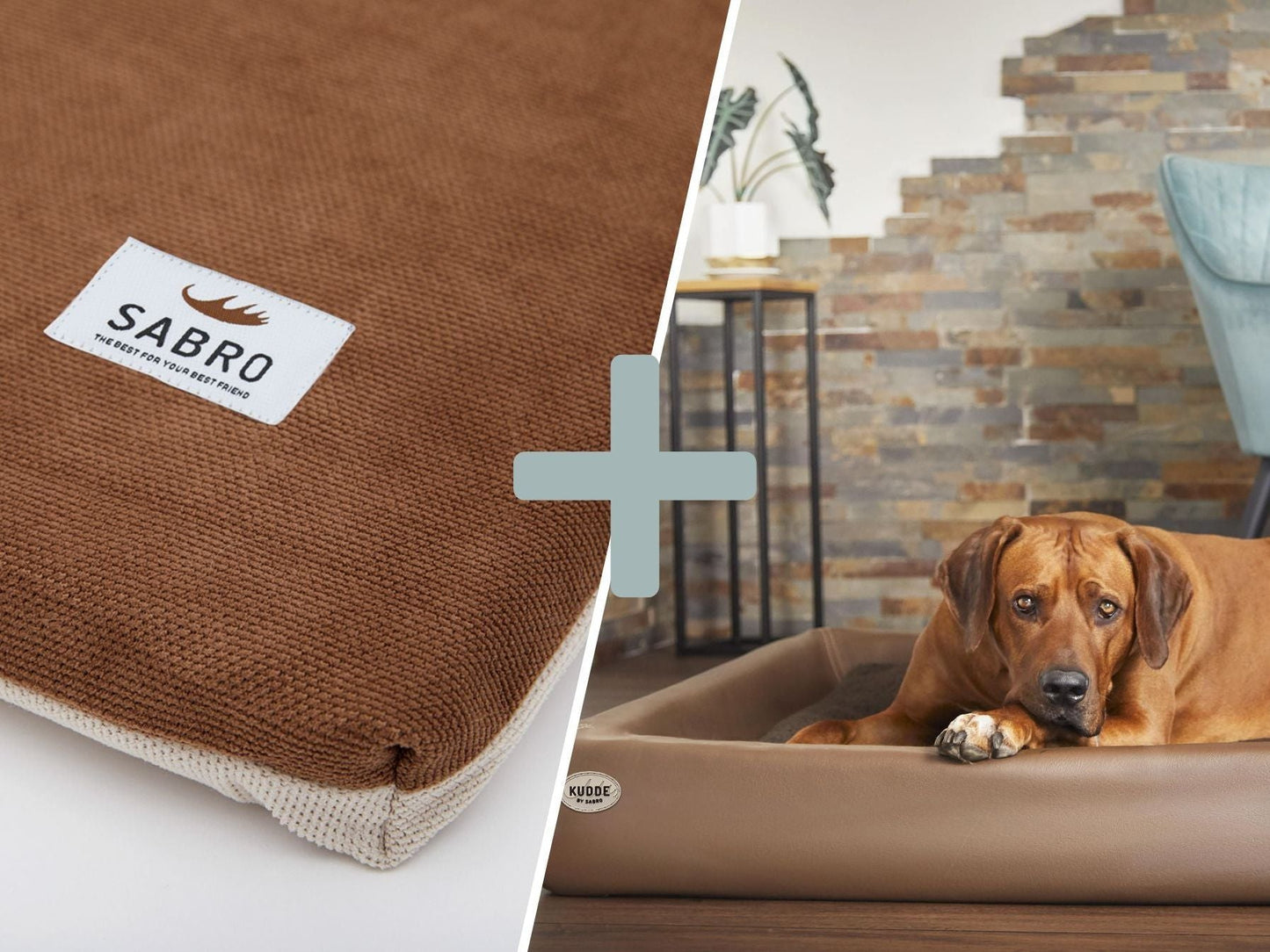 Hundebett - Orthopädisch-Plus Bundle | KUDDE Hundebett + Mumin Einlage Alltid